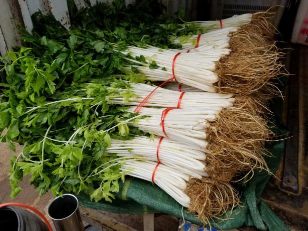 Chinese white celery has been grown in the town of Liyang for over 800 years. This variety is often called cutting celery with its long, slender, hollow stems. It’s easier to grow than traditional celery and frequently used in Asian cooking, as well as for adding depth of flavor to stocks and stews.
