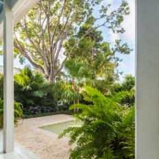 Tropical Front Porch and Garden