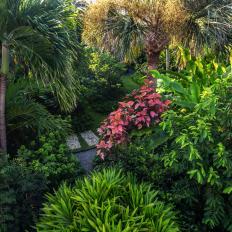 Tropical Garden With Paver Walkway