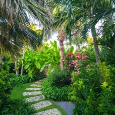Tropical Garden and Curved Path