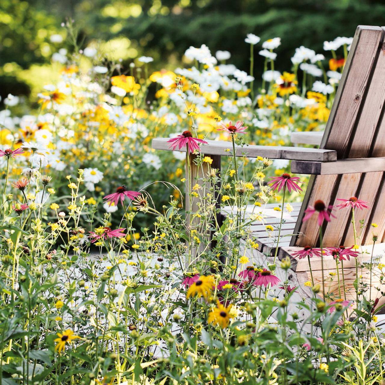 How to Install a Native Wildflower Meadow - GATHER & GROW