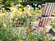 Coneflowers and daisies in a mini meadow beside a chair for lounging.