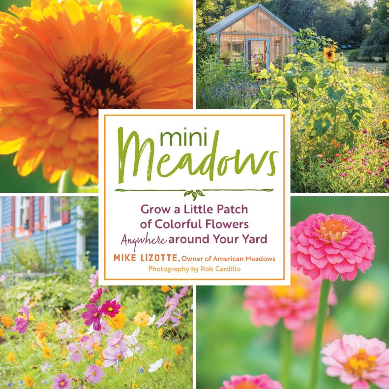 Mini Meadows Book Cover