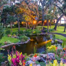 Pond and Tropical Flowers