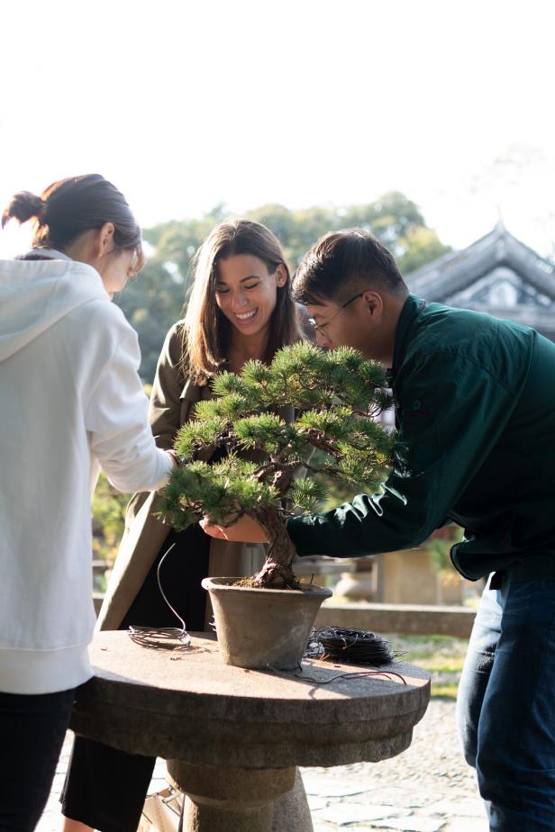 Training a Bonsai Tree | HGTV