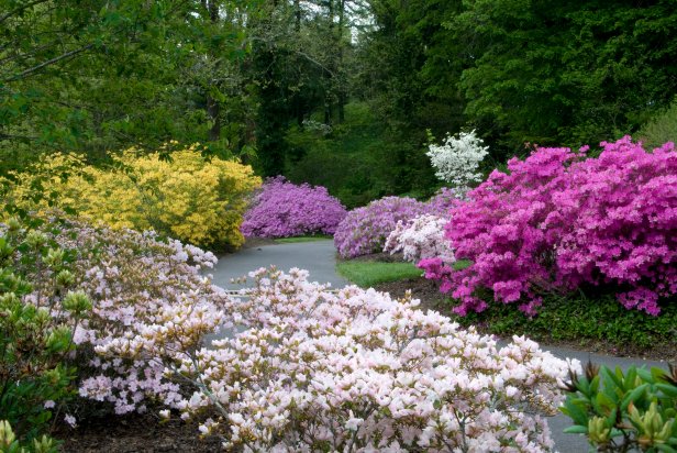 Biltmore Estate Gardens