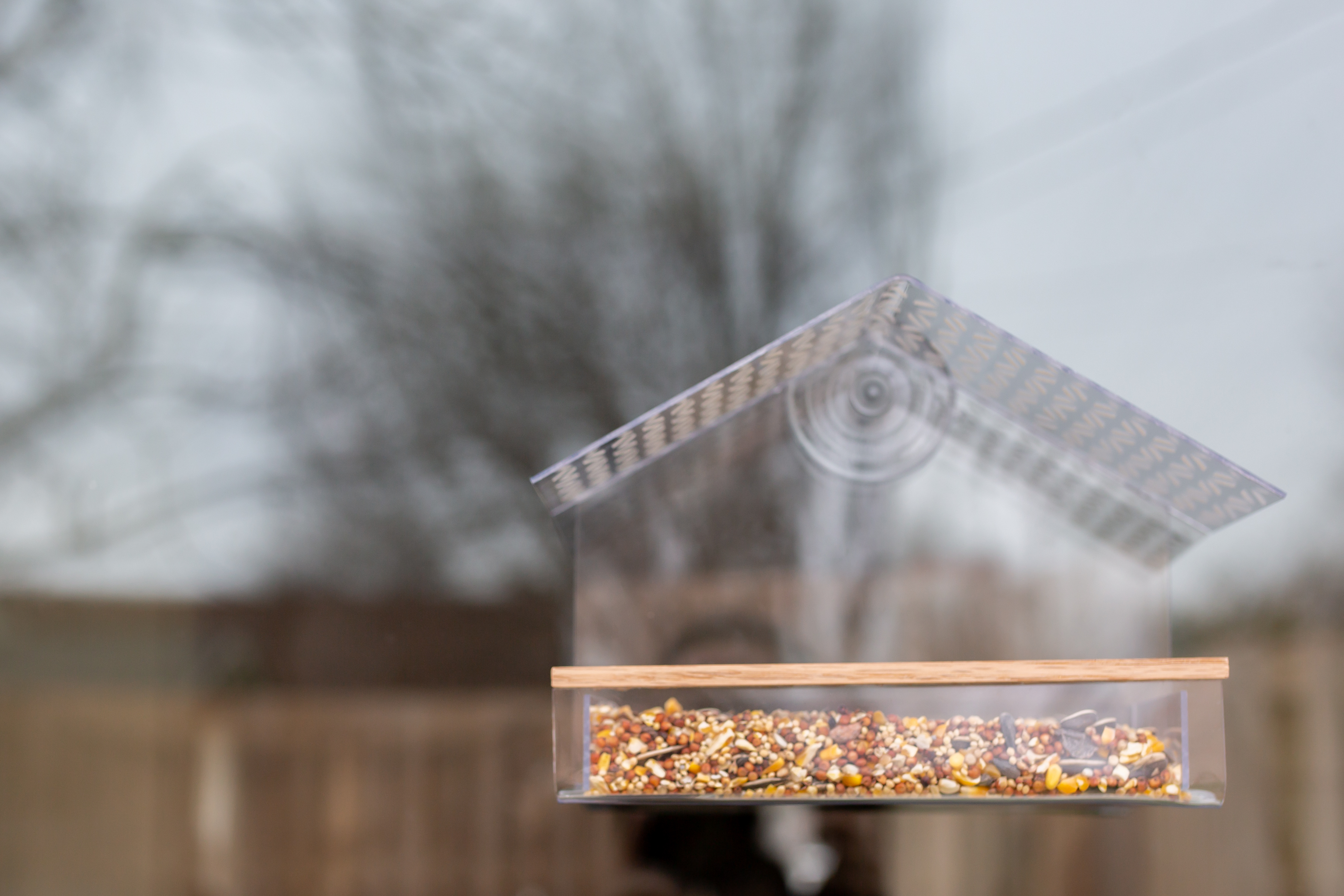 NUOVA finestra di vetro Bird Feeder Trasparente Perspex visualizzazione di Semi di Arachidi da appendere ASPIRAZIONE 