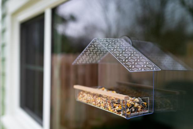 Make A Clear Acrylic Window Bird Feeder | Hgtv