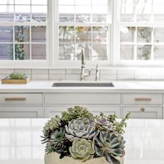 A Potted Arrangement of Succulents on White Kitchen Island