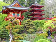 Located in Golden Gate Park, the Japanese Tea Garden in San Francisco is one of the city's many memorable gardens.