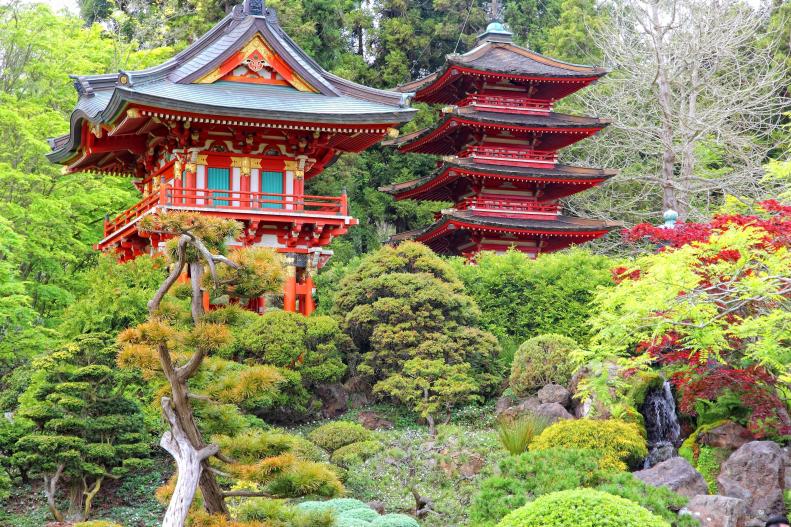 Located in Golden Gate Park, the Japanese Tea Garden in San Francisco is one of the city's many memorable gardens.