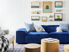 Living Room With Blue Sofa