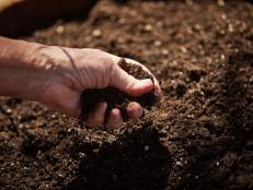 Grow a bountiful garden or a healthy lawn when you know how to test and amend your garden soil.