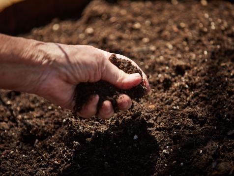 How to Test and Amend Garden Soil