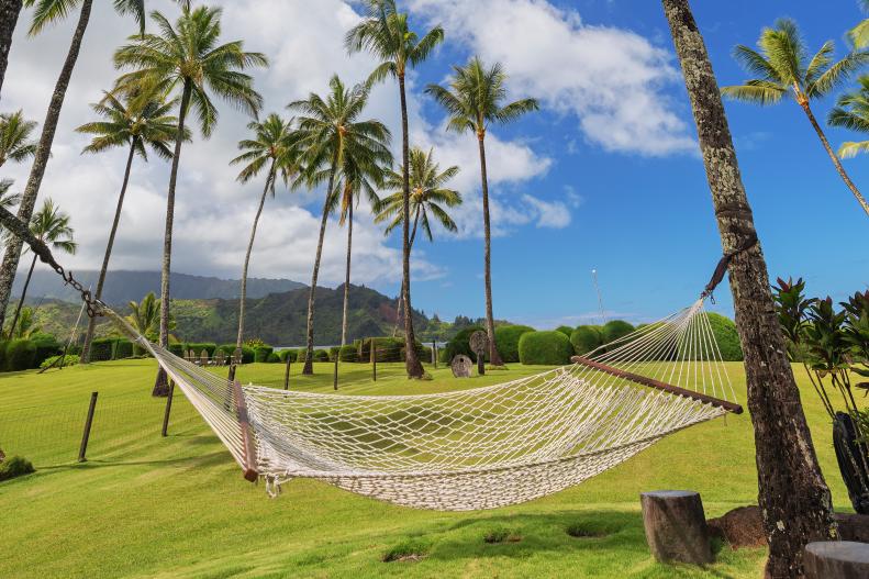 Tropical Backyard and Hammock