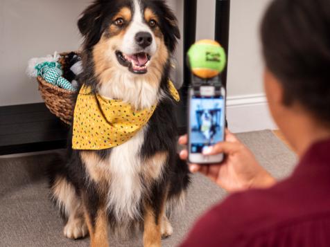 This $10 Gadget Will Help You Take Better Photos of Your Adorable Dog