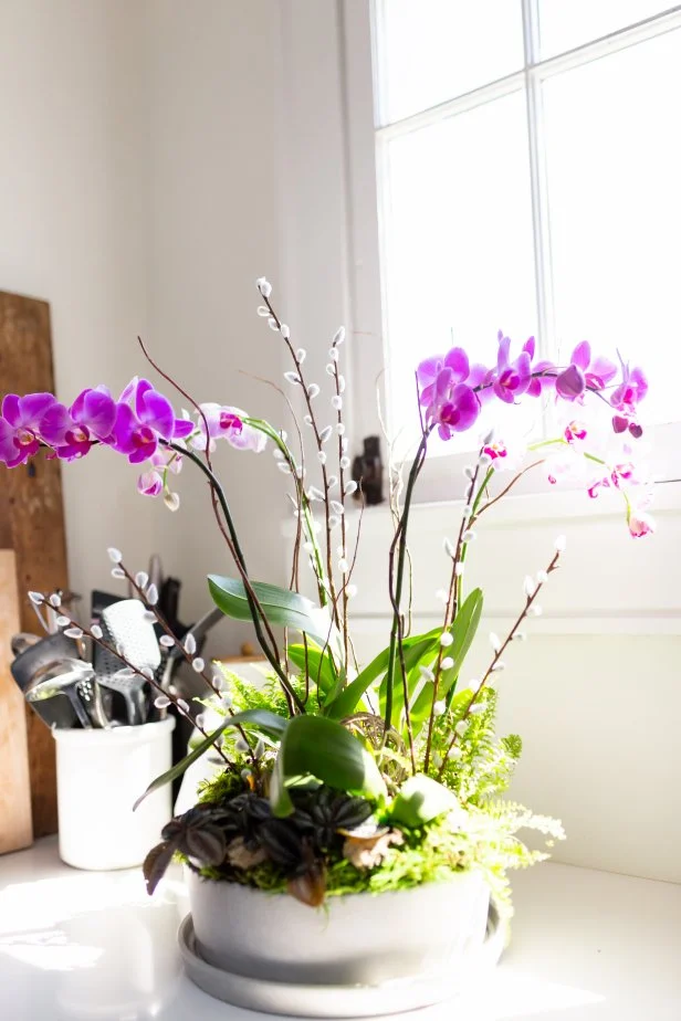 How Do You Decorate Orchids to Vase With Lights: Stunning Glow Ideas