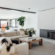 Gray Contemporary Living Room With Fur Throw