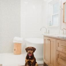 Transitional Bathroom With Dog