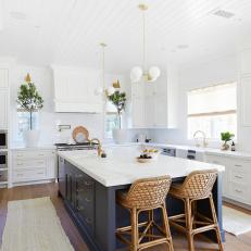 White Transitional Kitchen With Trees