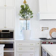 Kitchen Countertop With Potted Tree