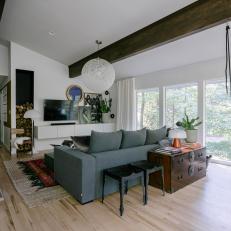 Contemporary Living Room With Swing