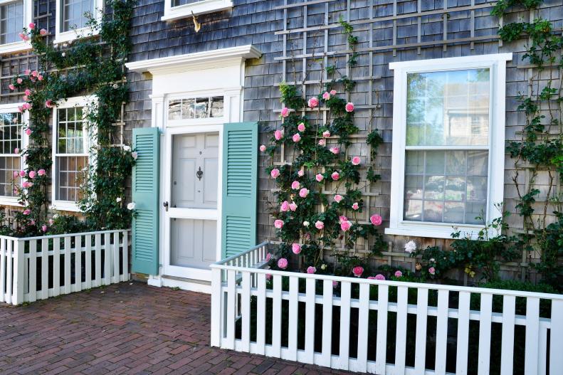 Pink Climbing Rose With Trellis