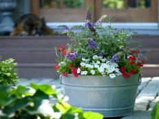 Red, White And Blue Container Garden