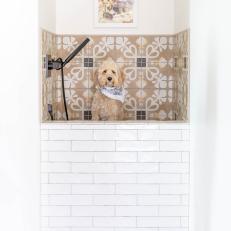 Dog Bath With Brown Tiles