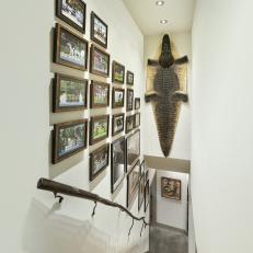 Stairwell Features Photos and Alligator Skin