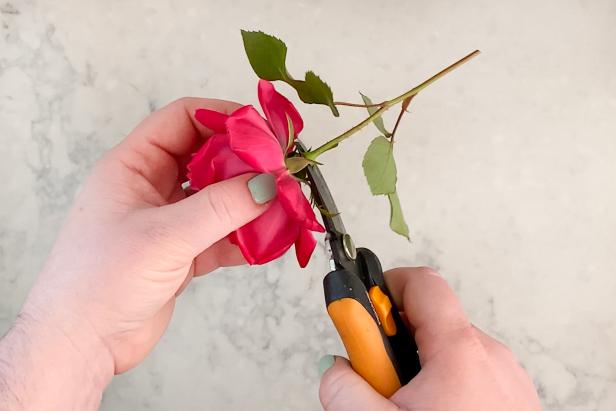 Use scissors to cut the flower as close to the bottom of the bloom as possible. For bulkier flowers, push out the center petals to allow them to sit flatter when pressed.