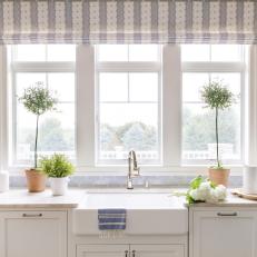 Gray Cottage Kitchen With Potted Trees