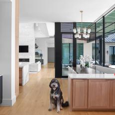 Contemporary Kitchen & Dining Area With Dog