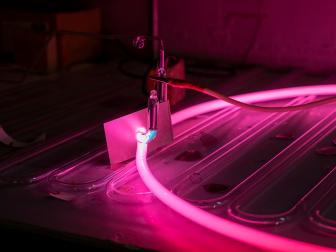 Hot Pink Neon Tube With Mica Sheet Between High Voltage Wires
