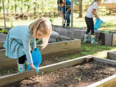 Help keep the entire family on task with a watering schedule for your garden. This will help add a sense of responsibility for the kids and also ensure the warmer months don't get too warm to harm any water-loving species.