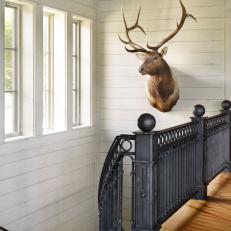 Staircase With Mounted Deer Head