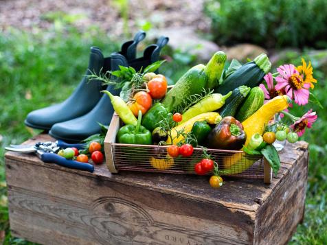 Avoid These 10 Mistakes for a Better Vegetable Container Garden