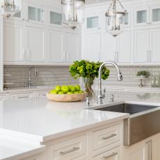White Transitional Kitchen With Green Apples