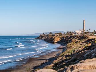 A surfside scene in Southern California with blue waves and palm trees