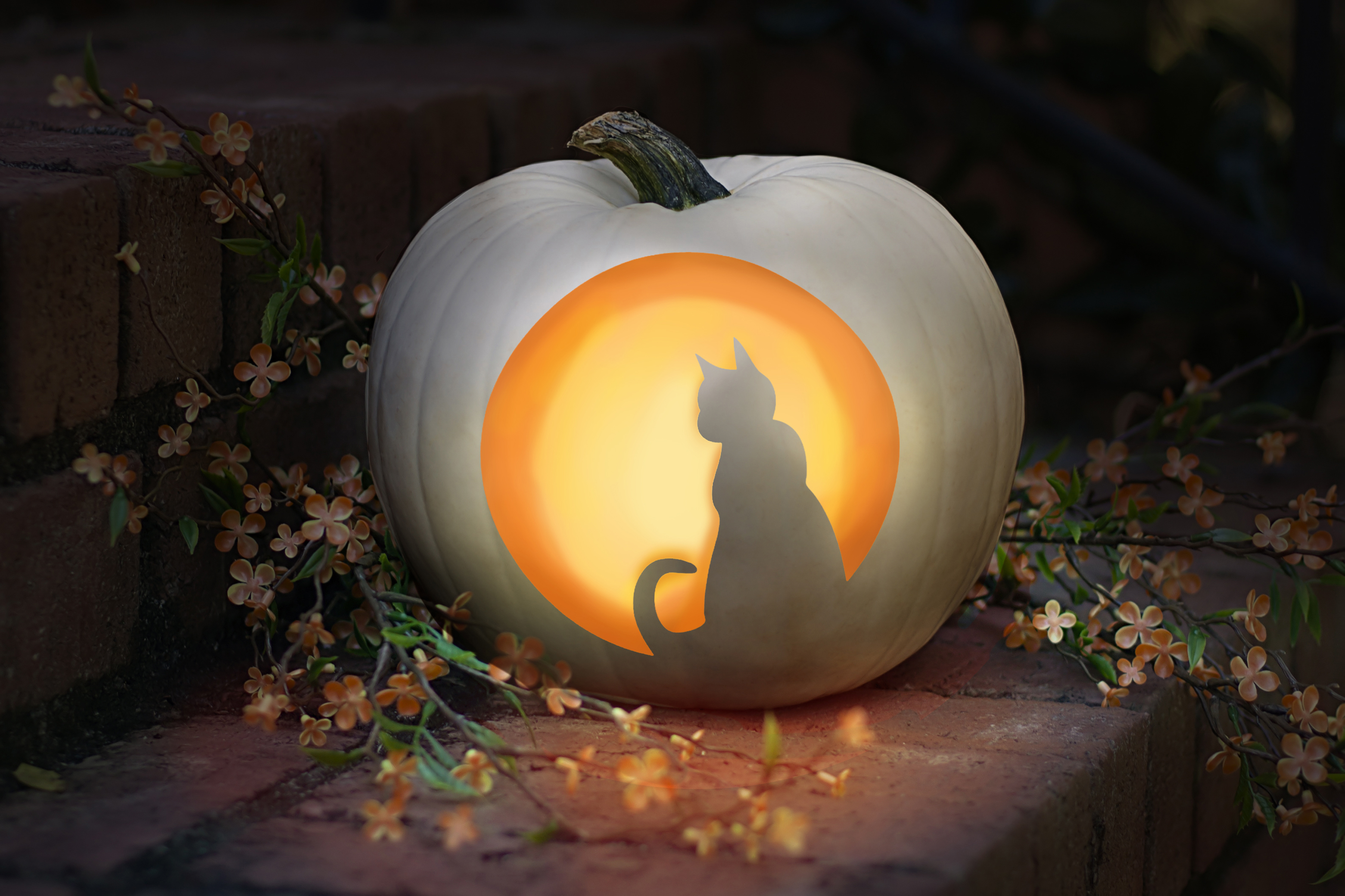 edit photo for pumpkin stencil mac