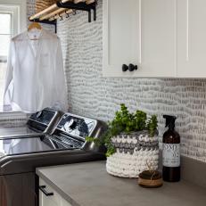 Gray Contemporary Laundry Room With Plant