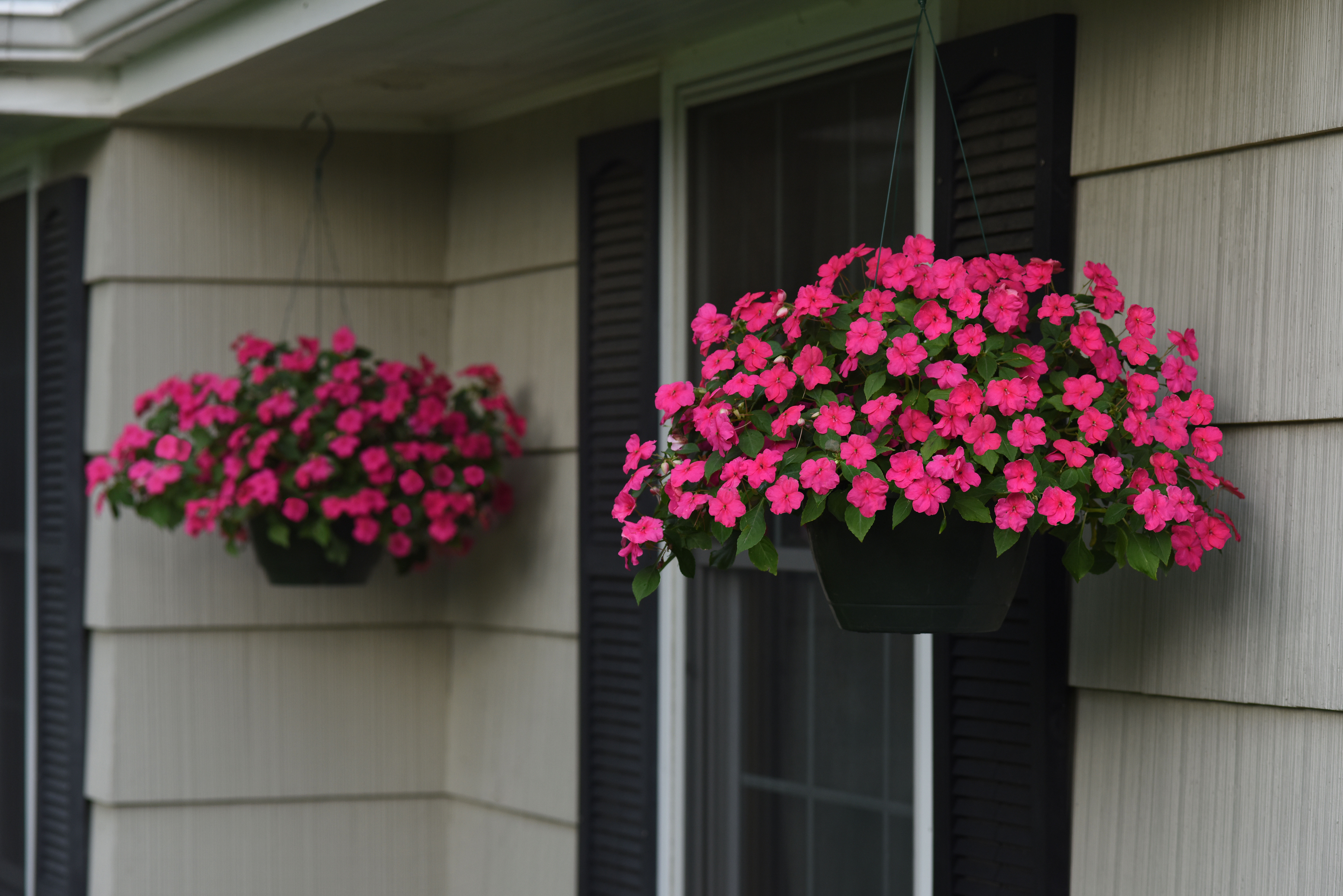 New Pink/hot Pink Trailing Artifical Flower Hanging Basket Ready To Hang Garden 
