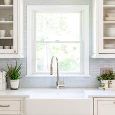 White Transitional Kitchen With Aloe Plant