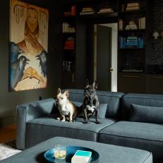 Contemporary Library With French Bulldogs