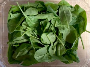 Spinach, Day 8, Without Bluapple