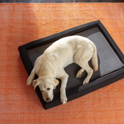 layla dog bed