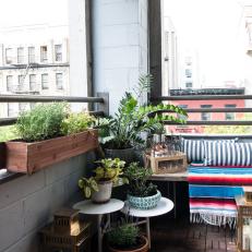 Industrial Balcony With Container Garden