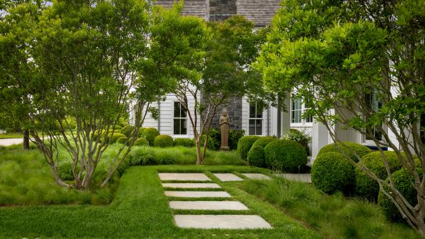 The Best Lawn Care Services to Keep Your Yard Pristine