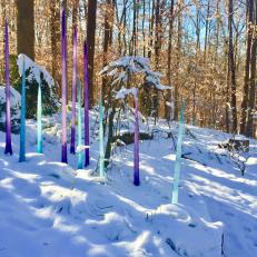 Woodland Winter Garden With Sculptures