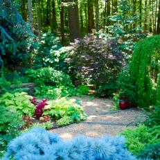 Woodland Garden With Gravel Path
